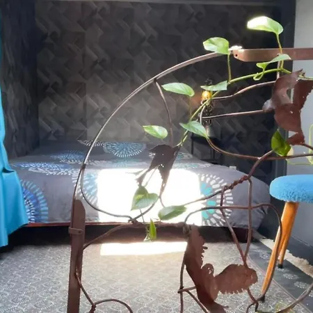 Gite Les 3 Cathares Apartment